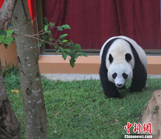 �D�顰������������ɢ������������ �z