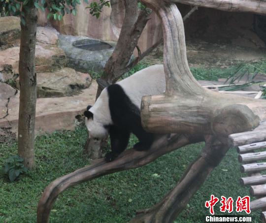 �D�顰�������ߡ���(d��)ľ������������ �z