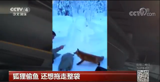 ��؂͵�~(y��) ߀����������