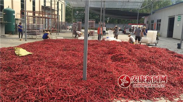 ttĮa(chn)I(y).jpg