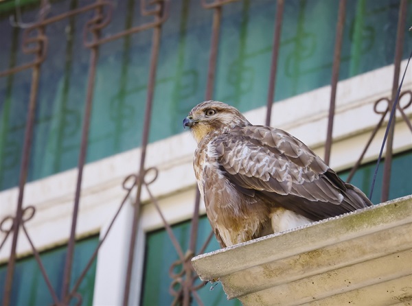 ޿hR^ӛ\B(nio)F(xin)